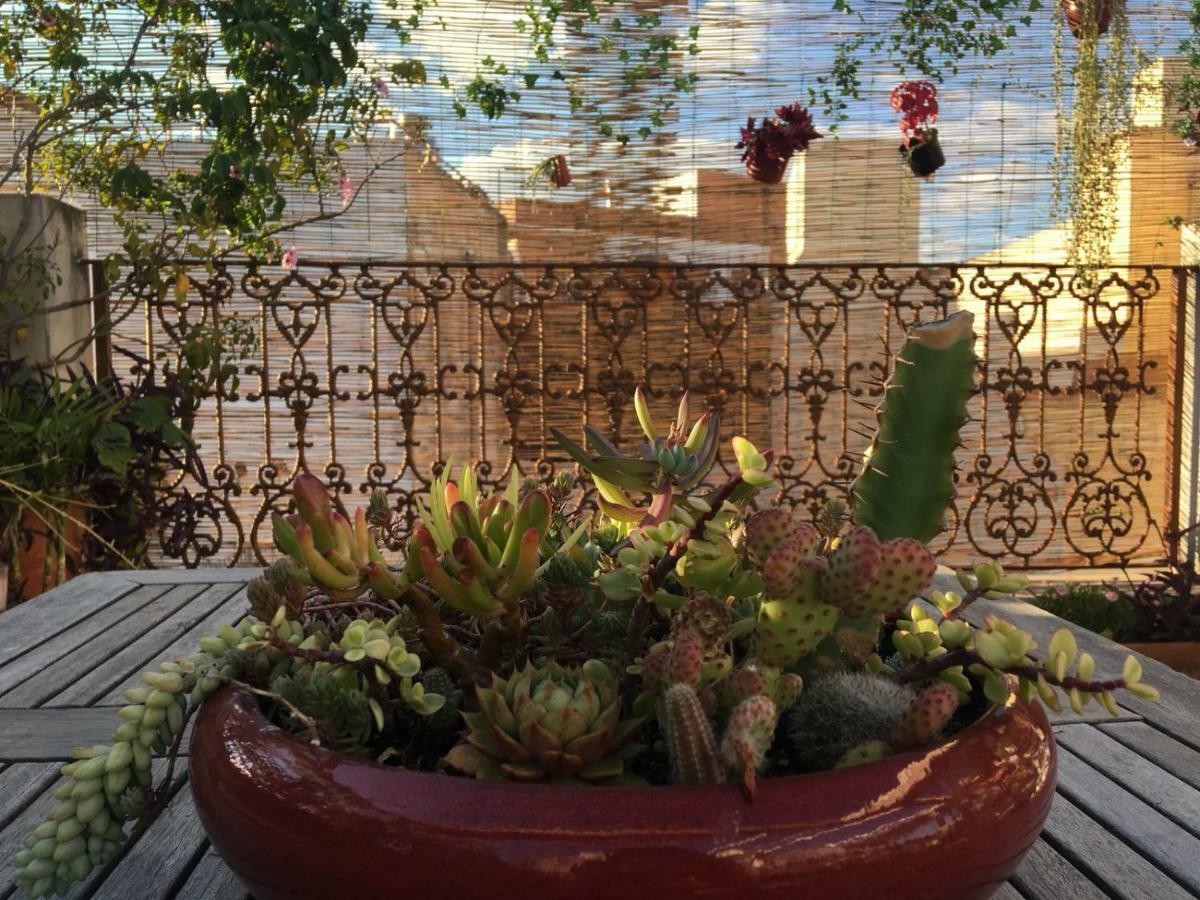 Guest House Europa 12 Sevilla Dış mekan fotoğraf